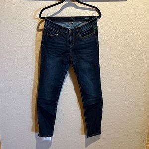 Judy Blue Skinny Jeans